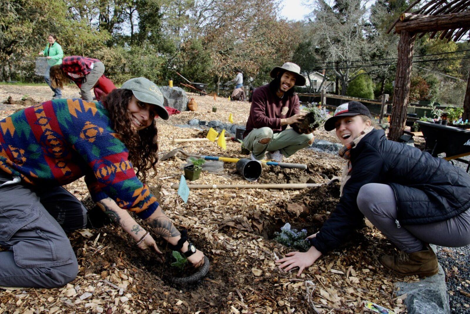 Permaculture Design Certificate
